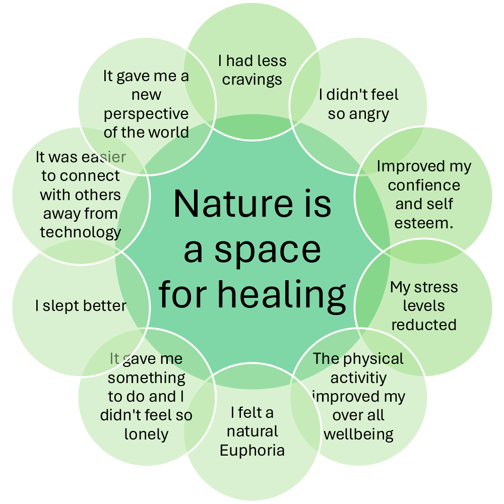 Nature is a space for healing